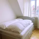 アパート Furnished Double In Fully Equipped Shared Flat, Ideal For Students
